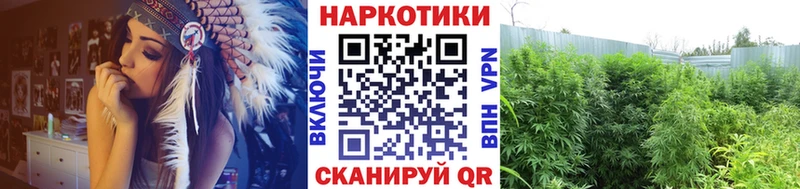 Где продают наркотики Городище Канабис МЕФ КОКАИН Гашиш